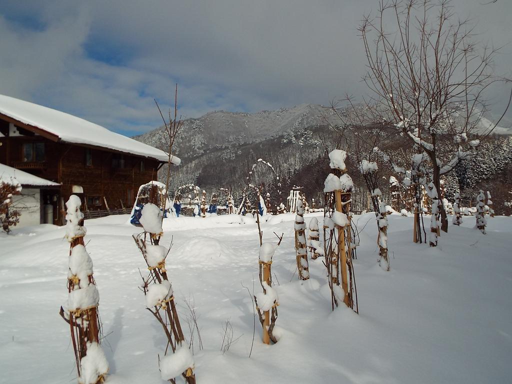 Pension Apple Kaminoyama Esterno foto
