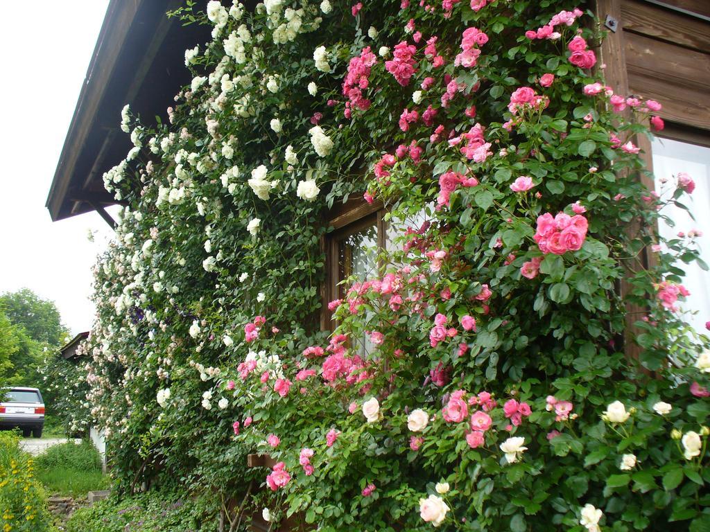 Pension Apple Kaminoyama Esterno foto